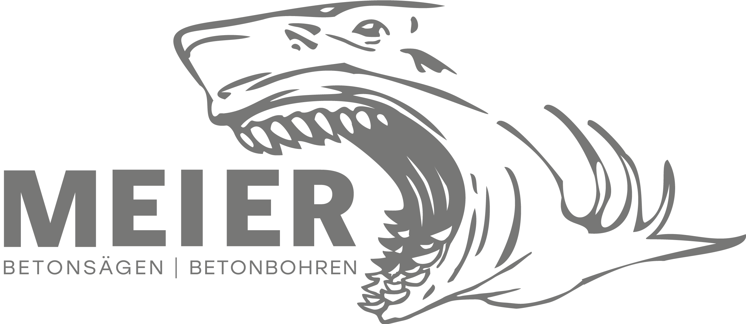 Logo Meier Betonsägen | Betonbohren